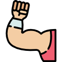 biceps